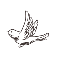 手書き鳥 アイコン素材 フリー素材 ブログ
