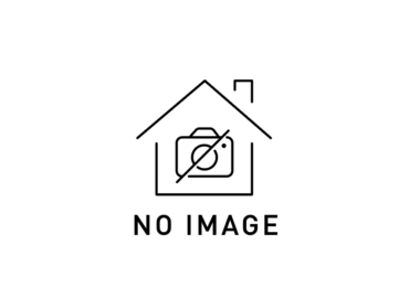 no image icon house