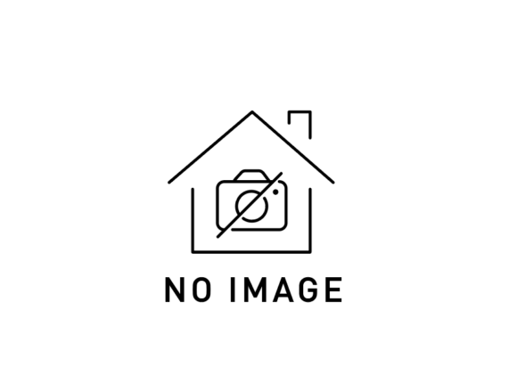 no image icon house