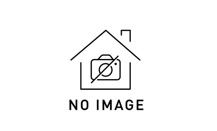 no image icon house
